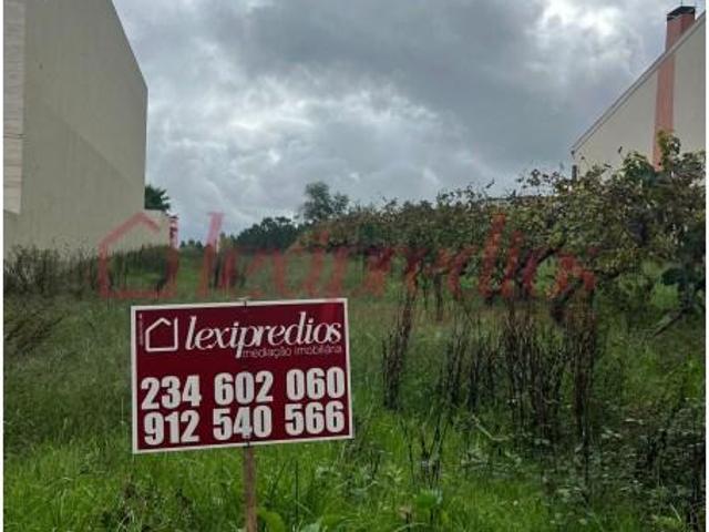 Terrenos Oliveira do Bairro Oliveira do Bairro DS97119336