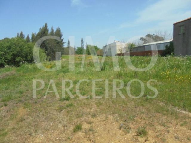 Terrenos Oliveira do Bairro Oliveira do Bairro DS97122746