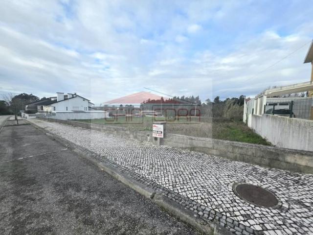Terrenos Oliveira do Bairro Oliveira do Bairro DS98534965