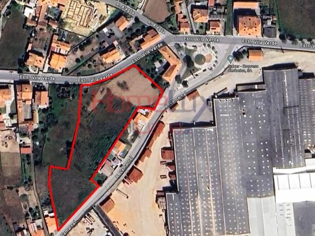 Terrenos Oliveira do Bairro Oliveira do Bairro DS99648742