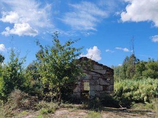 Terrenos Oliveira Do Hospital Coimbra DS91957149
