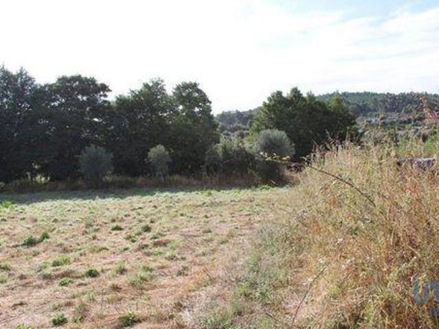 Terrenos Oliveira Do Hospital Coimbra DS93192848
