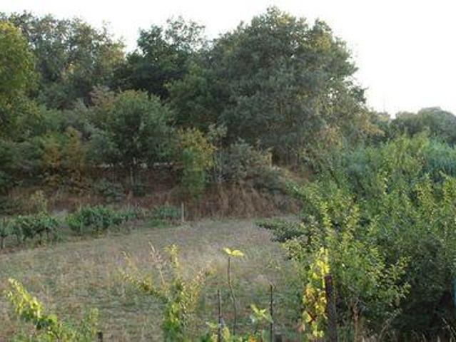 Terrenos Oliveira Do Hospital Coimbra DS94696293