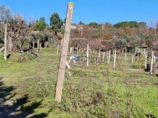 Terrenos Oliveira Do Hospital Coimbra DS98150296