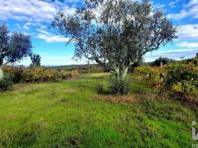 Terrenos Oliveira Do Hospital Coimbra DS98151060