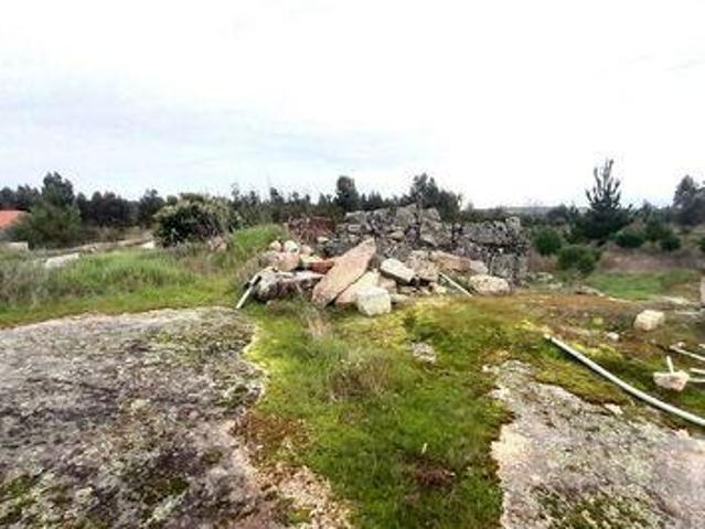 Terrenos Oliveira Do Hospital Coimbra DS98151062