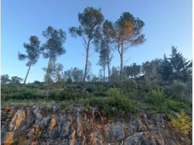 Terrenos Olivella Olivella 88330308