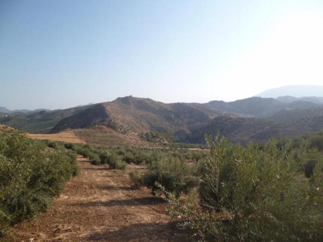 Terrenos Olvera Andalucia 79627802