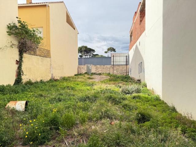 Terrenos Ondara Alicante 101994623