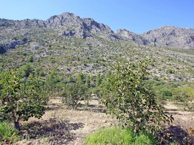 Terrenos Orba Valley Costa Blanca 97046875