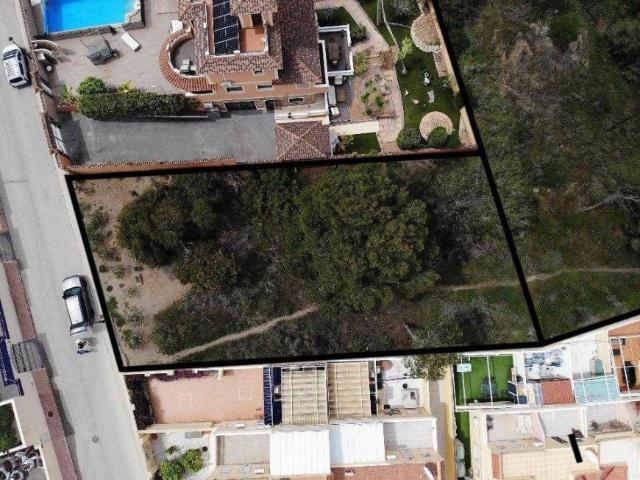 Terrenos Orihuela Alicante 100671572