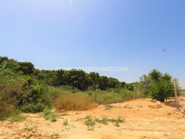 Terrenos Orihuela Costa Costa Blanca 83122897