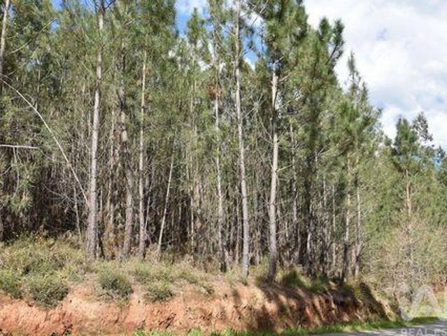 Terrenos Ourem Santarem DLS90030589
