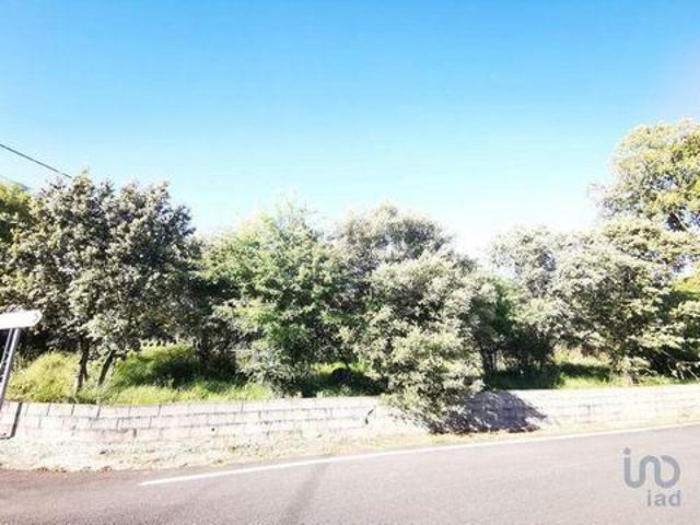 Terrenos Ourem Santarem DLS91772430