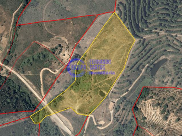 Terrenos Ourique Beja DLS99693169