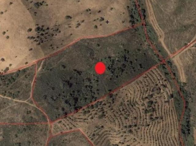 Terrenos Ourique Beja DS98931228