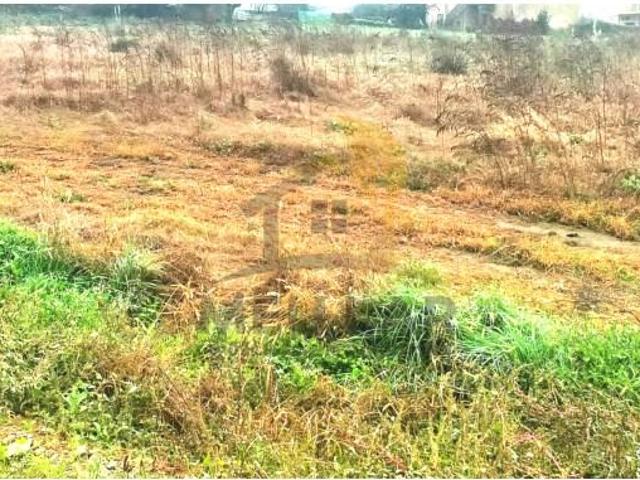 Terrenos Ovar Ovar DLS96615510