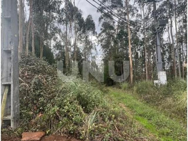 Terrenos Ovar Ovar DS96085242