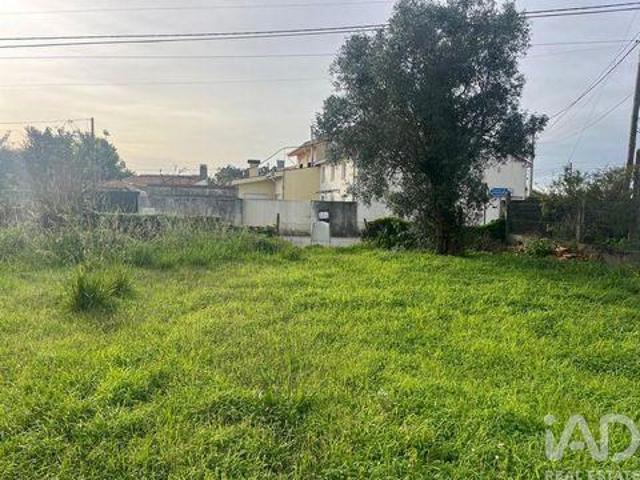 Terrenos Ovar Aveiro DS99641603