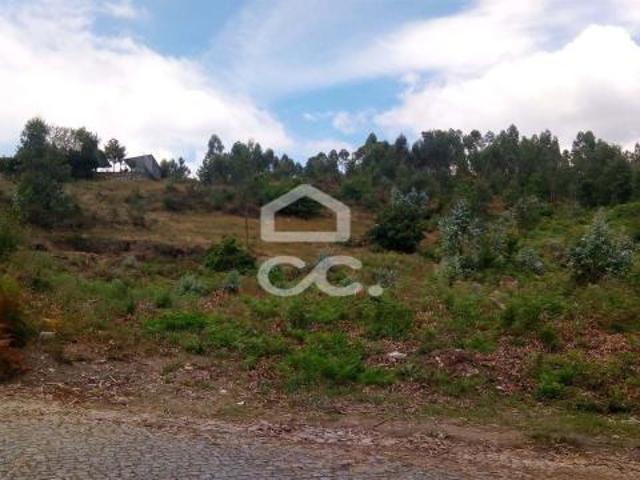 Terrenos Paços de Ferreira Porto DLS44415287