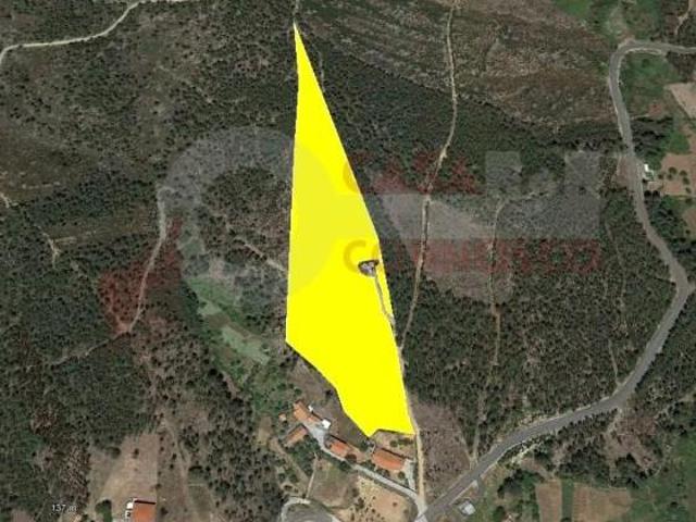 Terrenos Pampilhosa da Serra Pampilhosa da Serra DS97123572