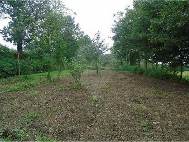 Terrenos Pacos De Ferreira Porto DLS100020347
