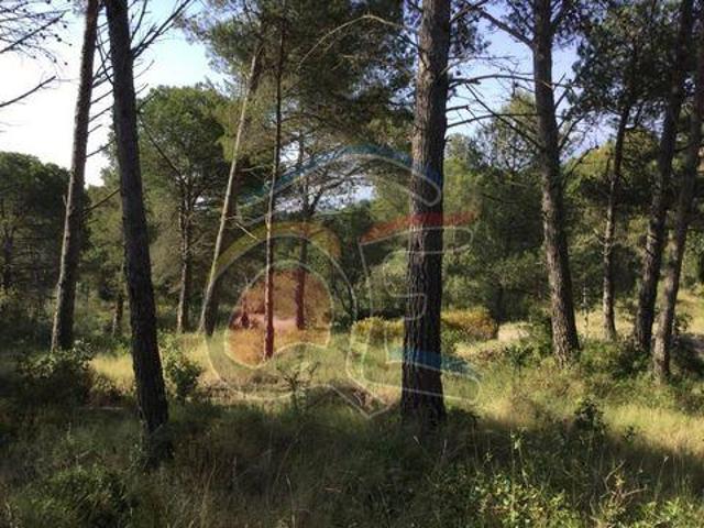 Terrenos Palamós Girona 96320351
