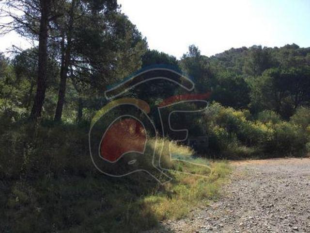 Terrenos Palamós Girona LS96329437