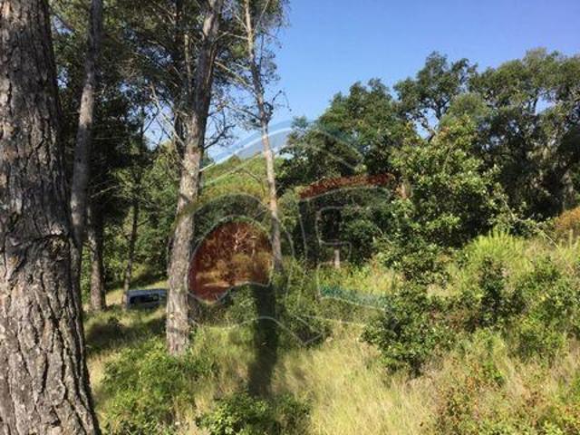 Terrenos Palamós Girona LS96320342