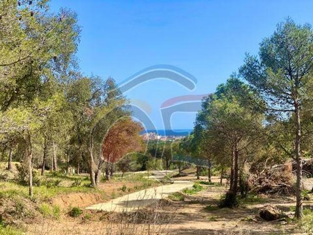Terrenos Palamós Girona LS96320360