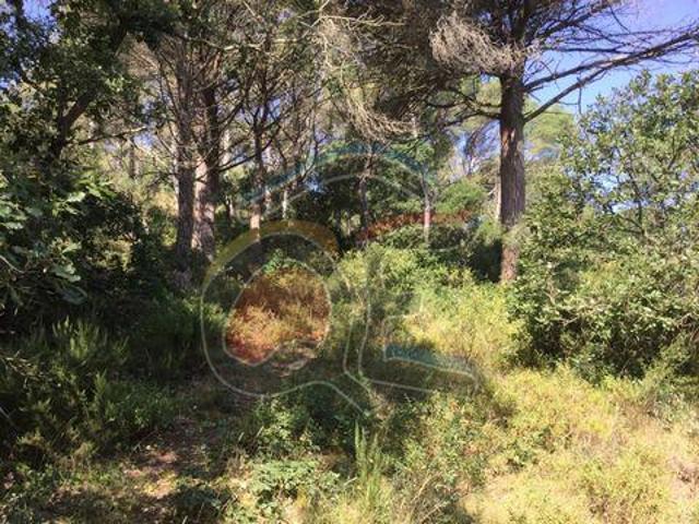 Terrenos Palamós Girona LS96320363