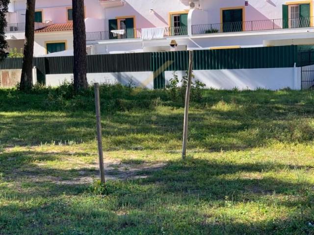 Terrenos Palmela Palmela DS88853021