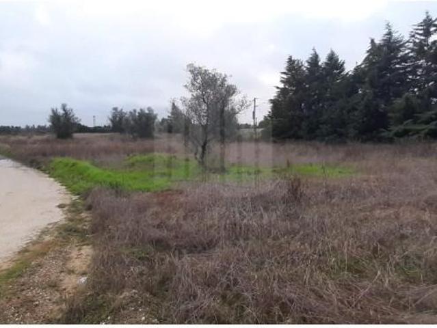 Terrenos Palmela Palmela DS96653162