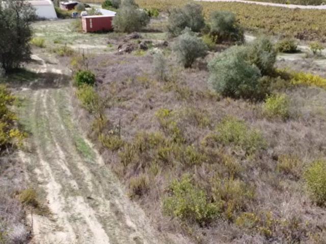 Terrenos Palmela Setúbal DLS88510622