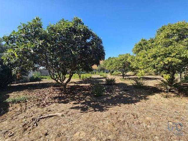 Terrenos Palmela Setubal DLS94675554