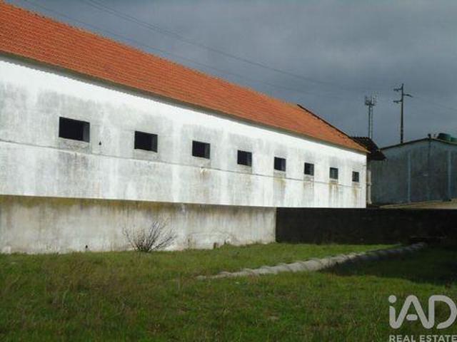 Terrenos Palmela Setubal DLS96472063