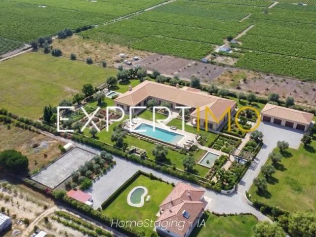 Terrenos Palmela Setúbal DLS96917744