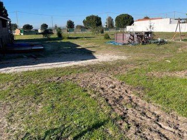 Terrenos Palmela Setubal DLS98150422