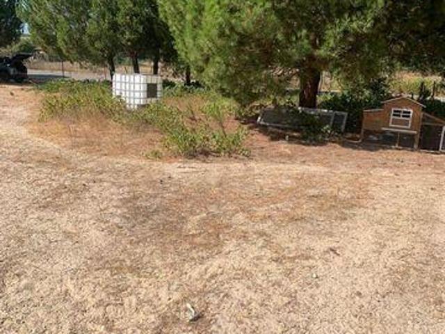 Terrenos Palmela Setubal DS94893517