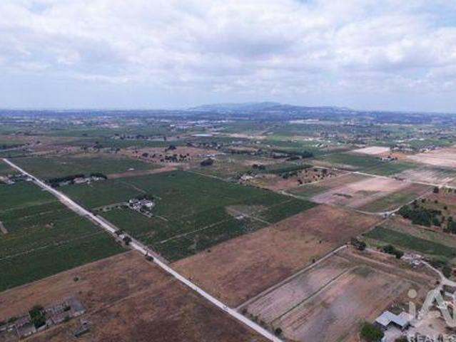 Terrenos Palmela Setubal DS95717272
