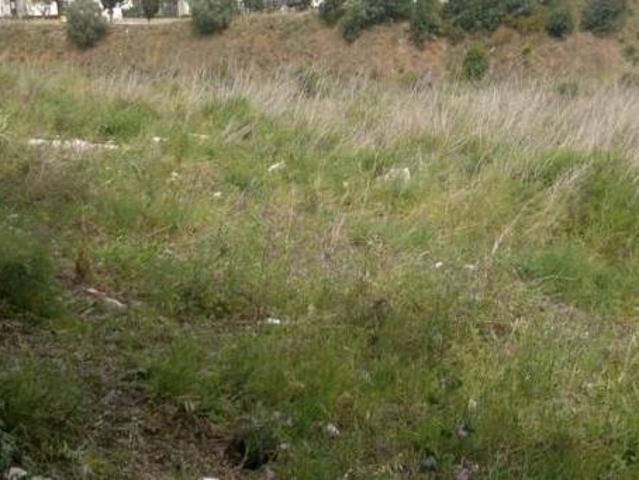 Terrenos Palmela Setúbal DS96292904