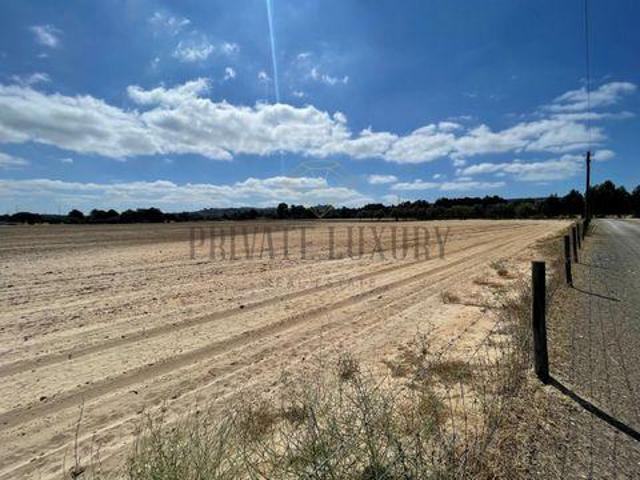 Terrenos Palmela Setúbal DS97112455