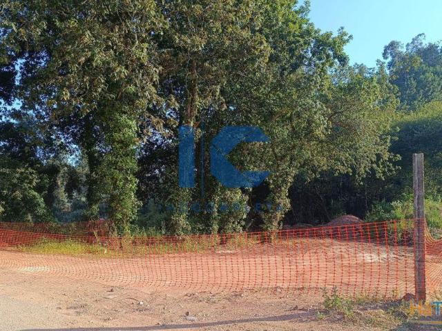 Terrenos para venda em Vale d´Erva Águeda | 26084059600