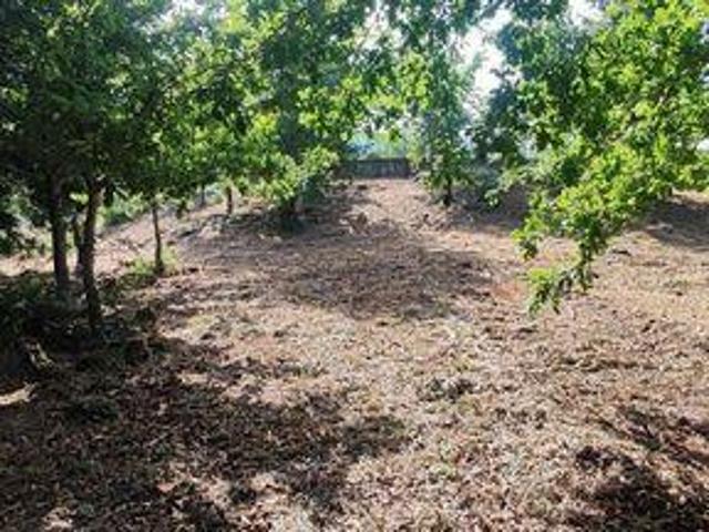 Terrenos Paredes De Coura Viana Do Castelo DLS98968763