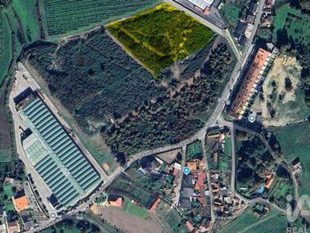 Terrenos Paredes Porto DLS101521611