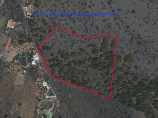 Terrenos Paso, El Santa Cruz De Tenerife LS92135281