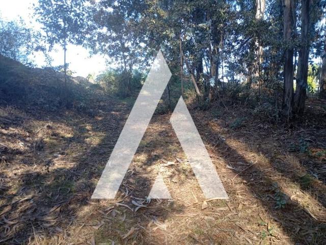 Terrenos Penafiel Penafiel DLS95416735