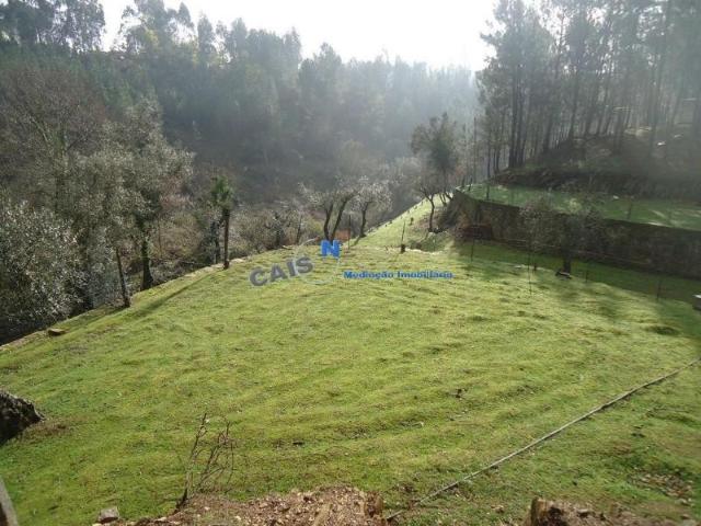 Terrenos Penafiel Penafiel DS96201164