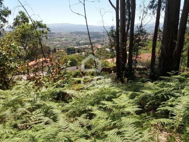 Terrenos Penafiel Porto DLS44414640