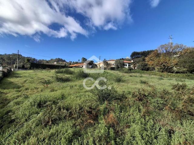 Terrenos Penafiel Porto DLS85419091